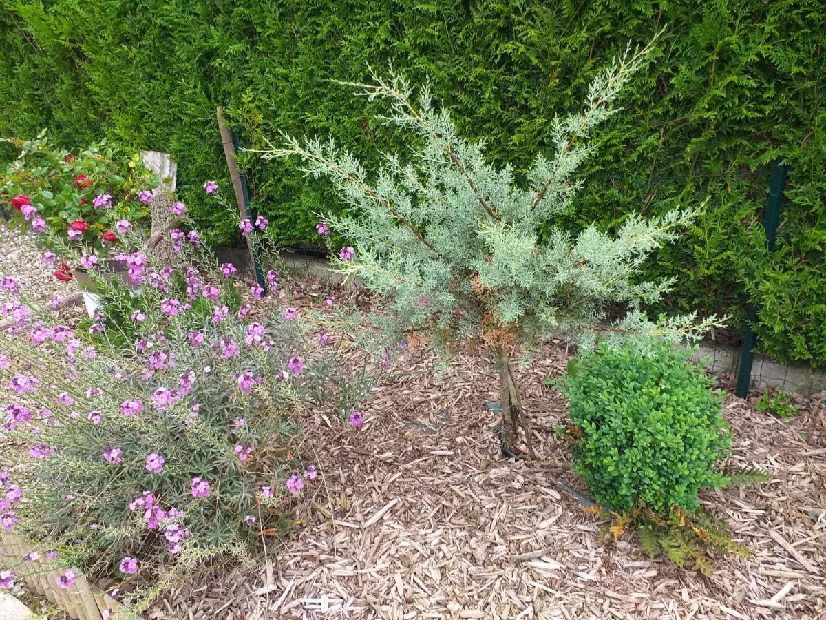 Gite L Oree De La Foret Incheville Ngoại thất bức ảnh