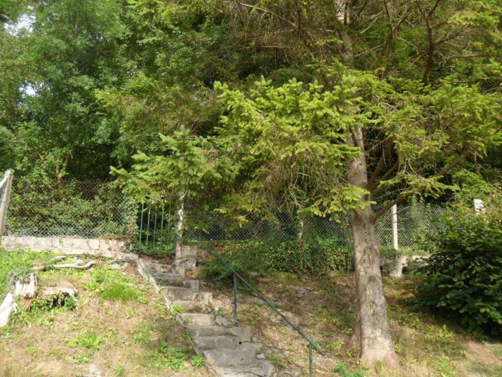 Gite L Oree De La Foret Incheville Ngoại thất bức ảnh